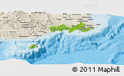 Physical Panoramic Map of Rewa, shaded relief outside