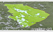 Physical Panoramic Map of Pohjois-Karjala, darken, semi-desaturated