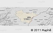 Shaded Relief Panoramic Map of Brumath, desaturated