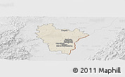 Shaded Relief Panoramic Map of Brumath, lighten, desaturated