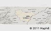 Shaded Relief Panoramic Map of Brumath, semi-desaturated
