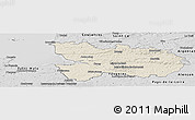 Shaded Relief Panoramic Map of Avranches, desaturated