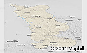 Shaded Relief Panoramic Map of Manche, desaturated