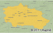 Savanna Style 3D Map of Orléans