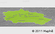 Physical Panoramic Map of Orléans, desaturated