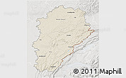 Shaded Relief 3D Map of Franche-Comté, lighten, semi-desaturated