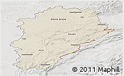 Shaded Relief Panoramic Map of Franche-Comté, lighten, semi-desaturated