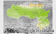 Physical 3D Map of Carcassonne, desaturated