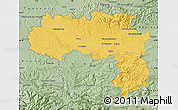 Savanna Style Map of Carcassonne