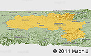 Savanna Style Panoramic Map of Carcassonne