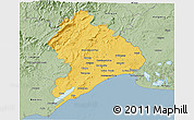 Savanna Style 3D Map of Montpellier