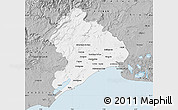 Gray Map of Montpellier