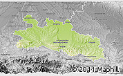 Physical 3D Map of Pamiers, desaturated