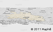 Shaded Relief Panoramic Map of Pamiers, desaturated