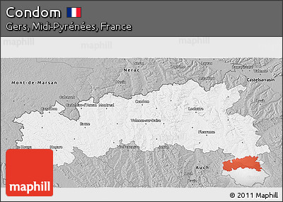Gray 3D Map of Condom