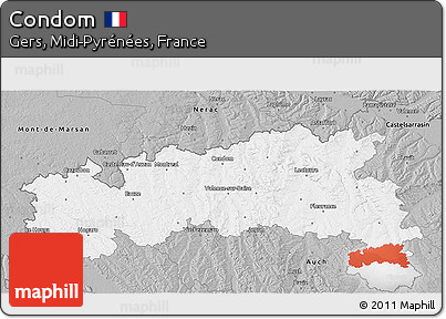 Gray 3D Map of Condom