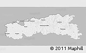 Gray 3D Map of Condom, single color outside