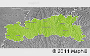Physical 3D Map of Condom, desaturated