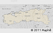 Shaded Relief 3D Map of Condom, desaturated