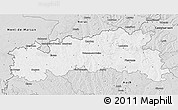 Silver Style 3D Map of Condom