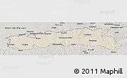 Shaded Relief Panoramic Map of Condom, semi-desaturated