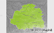 Physical 3D Map of Indre, desaturated