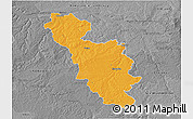 Political 3D Map of Issoudun, desaturated