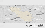 Shaded Relief Panoramic Map of Issoudun, desaturated