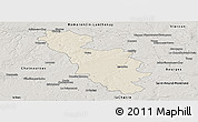 Shaded Relief Panoramic Map of Issoudun, semi-desaturated