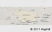 Shaded Relief Panoramic Map of Clermont, semi-desaturated
