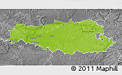 Physical 3D Map of Senlis, desaturated