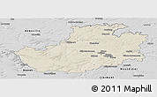Shaded Relief Panoramic Map of Amiens, desaturated