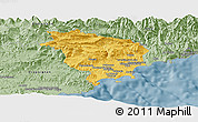 Savanna Style Panoramic Map of Grasse