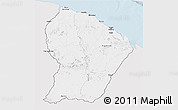 Silver Style 3D Map of French Guiana, single color outside