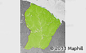 Physical Map of French Guiana, desaturated