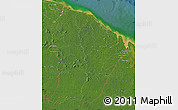 Satellite Map of French Guiana