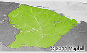 Physical Panoramic Map of French Guiana, desaturated