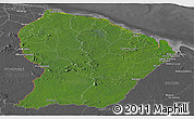 Satellite Panoramic Map of French Guiana, desaturated