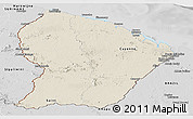 Shaded Relief Panoramic Map of French Guiana, desaturated