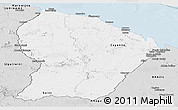 Silver Style Panoramic Map of French Guiana