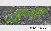 Satellite Panoramic Map of Ogooue-Ivindo, desaturated