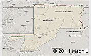 Shaded Relief 3D Map of Wouleu-Ntem, semi-desaturated