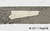 Shaded Relief Panoramic Map of Haut-Como (Medouneu), darken