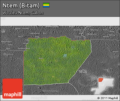Satellite 3D Map of Ntem (Bitam), desaturated