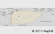 Shaded Relief Panoramic Map of Ntem (Bitam), desaturated