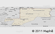 Shaded Relief Panoramic Map of Wouleu-Ntem, desaturated