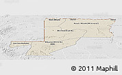 Shaded Relief Panoramic Map of Wouleu-Ntem, lighten, desaturated