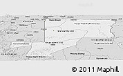 Silver Style Panoramic Map of Wouleu-Ntem