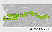 Physical 3D Map of The Gambia, lighten, desaturated