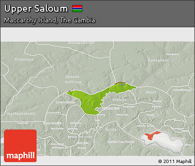 Physical 3D Map of Upper Saloum, lighten, semi-desaturated